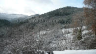 Bosques de Quejo