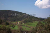 Bosques de Quejo