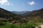 Bosques de Quejo