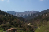 Bosques de Quejo