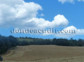 Agricultura cerca de Quejo